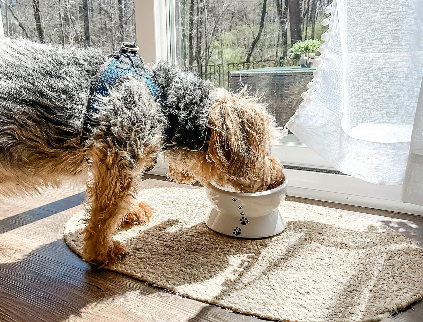 Elevated Cat Food Bowl, Raised Food and Water Bowl for Cat and Small Dog, Tilted Ceramic Water Bowls No Spill,15Oz, Dishwasher Safe