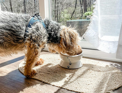 Elevated Cat Food Bowl, Raised Food and Water Bowl for Cat and Small Dog, Tilted Ceramic Water Bowls No Spill,15Oz, Dishwasher Safe